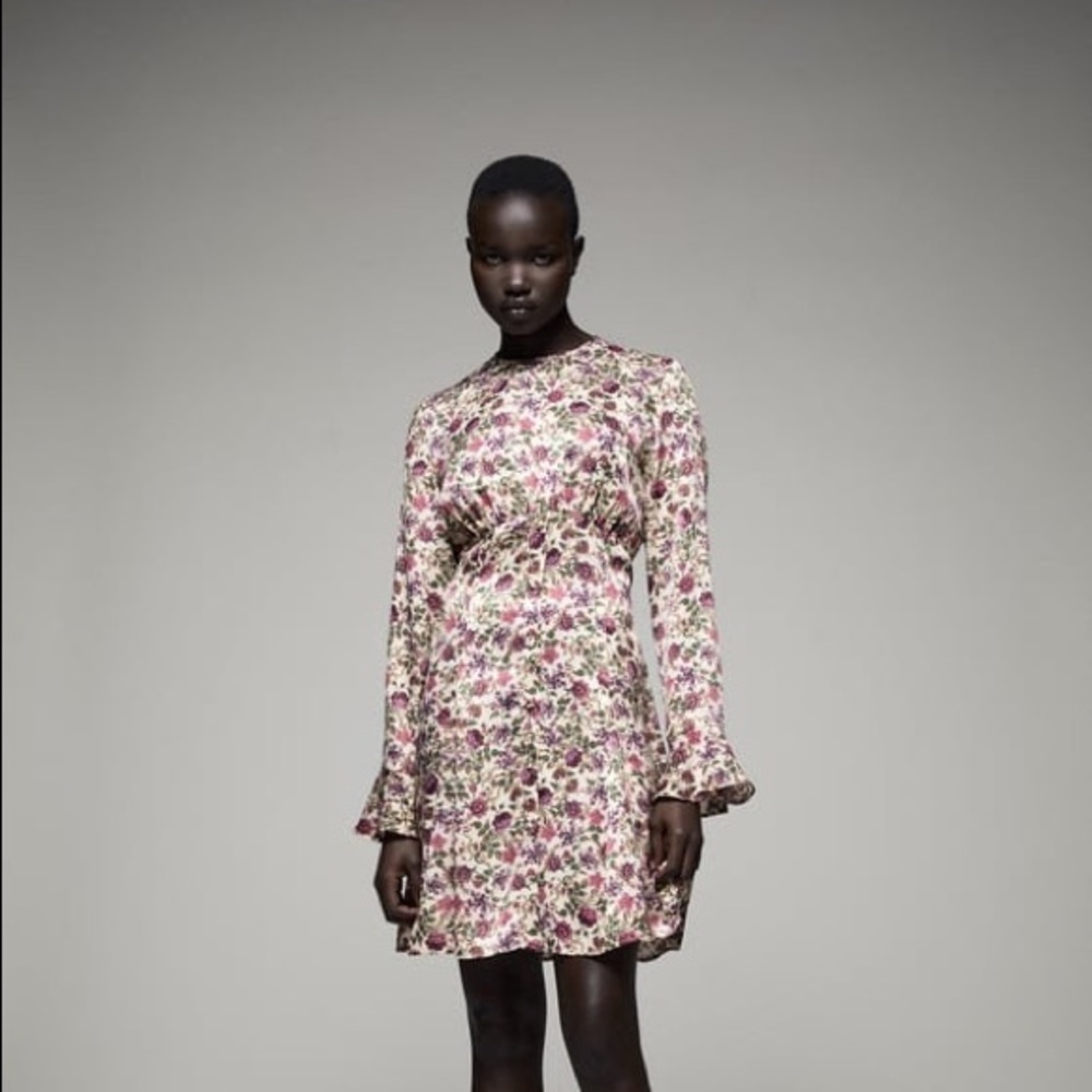 Brand New With Tags Zara Floral Dress